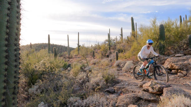 Phoenix Bicycle Laws