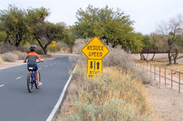 Phoenix Bicycle Laws