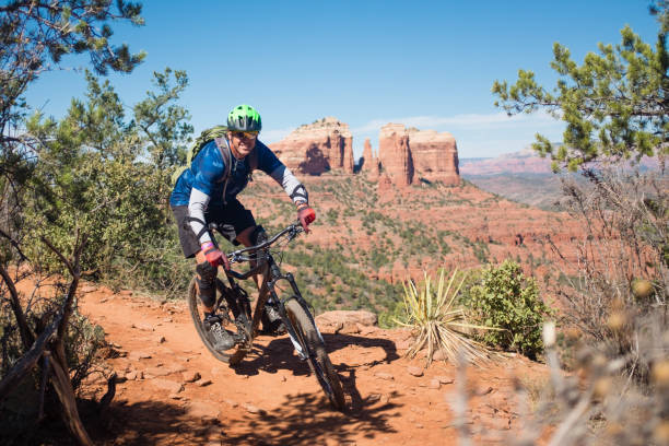 Do Bicycles Have to Stop at Stop Signs in Arizona?