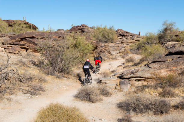 Do You Need a License to Ride a Bike in Arizona?