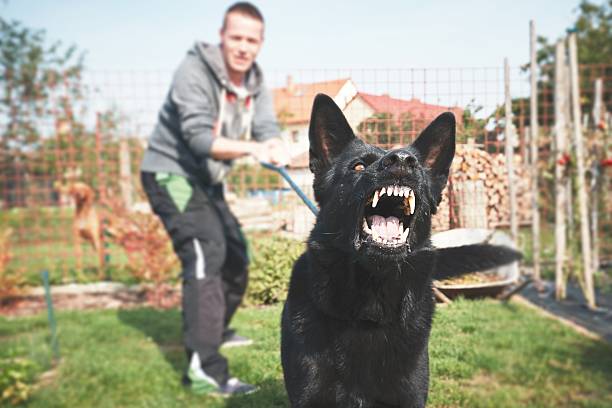 How Long After a Dog Bite Can You Make a Claim in Arizona?