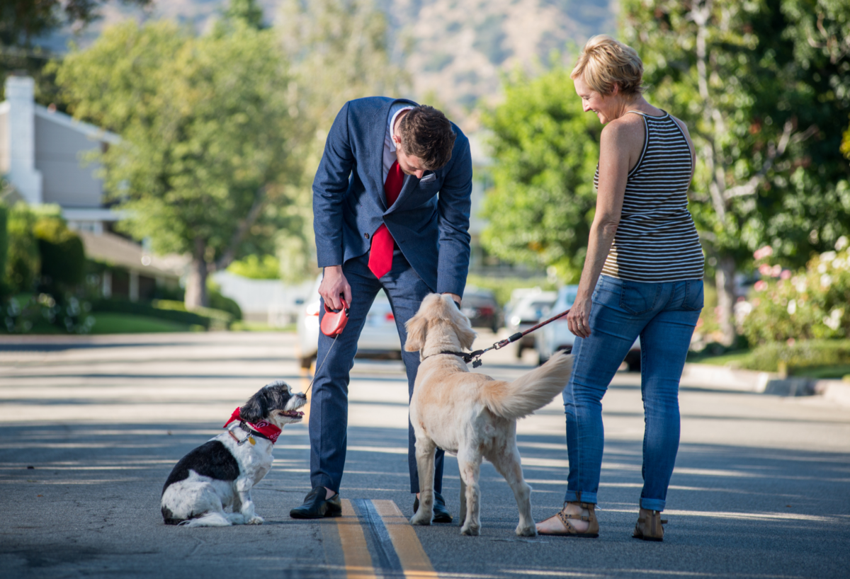 Blog Fullwidth Arizona Dog Laws in 2026: What Every Dog Owner Should Know