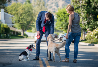 Arizona Dog Laws in 2026: What Every Dog Owner Should Know